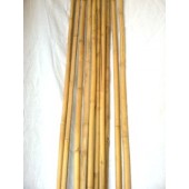 Bamboo Stakes - 4' x 1/2” - 250pcs/bale