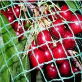 Bird Netting - 15' x 100' 