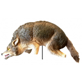 Coyote 3D Visual Decoy